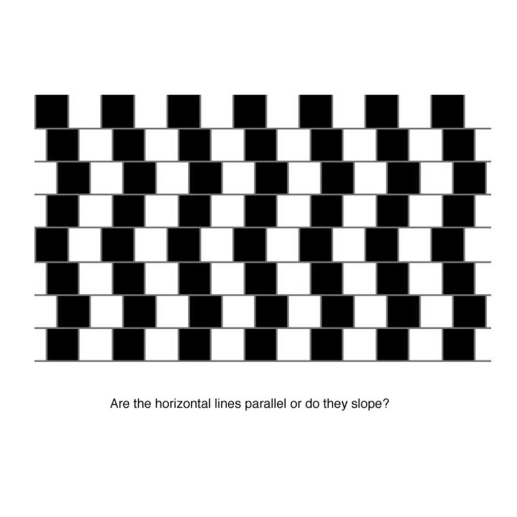 Spinning Illusion